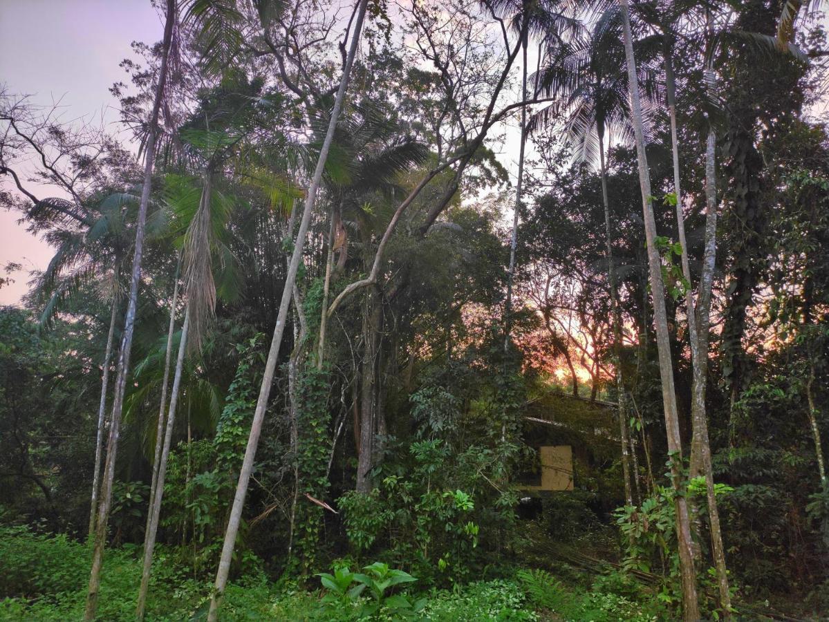 Casa Jamboo Sao Sebastiao (Sao Paulo) Eksteriør bilde